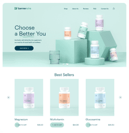 Shopify Theme Example 1